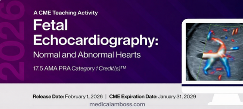 2026 Fetal Echocardiography: Normal and Abnormal Hearts (Videos)